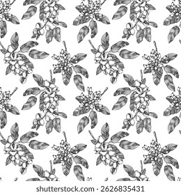 Seamless vector pattern with hand drawn ink pistachio nuts and leaves. Template for food, drink label design
