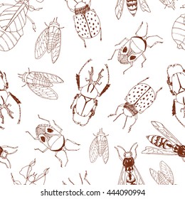 Seamless vector pattern with hand drawn insects.  Nature beauty.