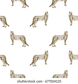 Seamless vector pattern of hand drawn sketch style cheetah.