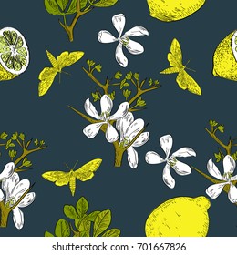 Seamless vector pattern of hand drawn lemons with flowers and butterflies. Tropical background.