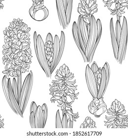 Seamless vector pattern with hyacinths on white. Floral art background. Perfect for design templates,  wallpaper, wrapping, fabric and textile.