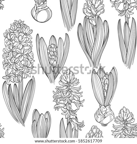 Seamless vector pattern with hyacinths on white. Floral art background. Perfect for design templates,  wallpaper, wrapping, fabric and textile.