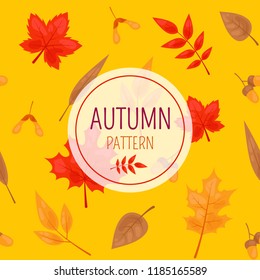 Seamless vector pattern of illustration with autumn leaves. Pattern of different colored leaves. Autumnal ornament for background.