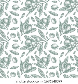 Seamless vector pattern with ink hand drawn olive tree twigs isolated on white. Vintage olive background