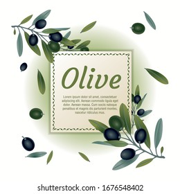 Seamless vector pattern with ink hand drawn olive tree twigs isolated on white. Vintage olive background