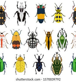 Seamless vector pattern with insects. Collection of bugs isolated on white background. Flat hand drawn beetles illustration. 