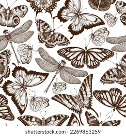 Patrón vectorial sin foco con insectos. Mariposa monarca, mariposa colmena, mariposa pavo real, cola de mariposa, pieridae, almirante de mariposas, podalirius, papilio, libélula en estilo de grabado