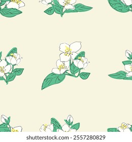 Seamless vector pattern with jasmine flowers and green leaves. Floral background illustration.