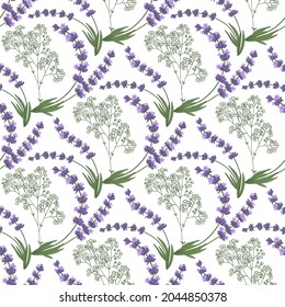 Seamless vector pattern with lavender and gypsophila flowers. Floral illustration on white background.