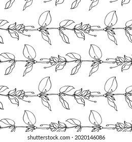 Seamless vector pattern of leaves. Lianas made of leaves. Black outline on a white background. For the decoration of fabric, paper, packaging, wallpaper. Black and white graphics.