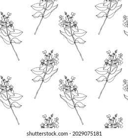 Seamless vector pattern of leaves. Lianas made of leaves. Black outline on a white background. For decorating fabric, paper, packaging, wallpaper. Black and white graphics. Garden hydrangea.