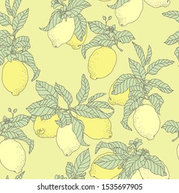 Seamless vector pattern with lemons in graphic
