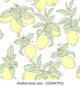 Seamless vector pattern with lemons in graphic