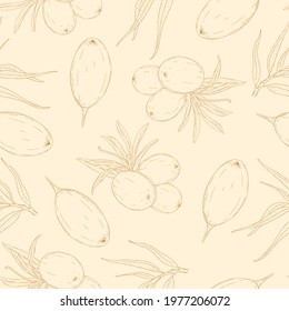 Seamless vector pattern of line hand drawn sea buckthorn berries on light orange background. Design for herbal tea or natural products packaging 