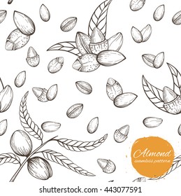 Seamless vector pattern with linear outline almond. Sketches of nuts in vintage style. 