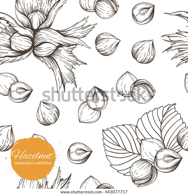 Seamless Vector Pattern Linear Outline Hazelnut Stock Vector (Royalty ...