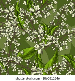 Nahtlose Vektorgrafik mit kleinen weißen Blumen und auf grünem Hintergrund