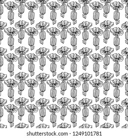 Seamless vector pattern made of small sketchy Silene latifolia flowers arragned in a row on white background. Monochrome floral design for web or print.