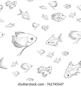 Seamless vector pattern made of tropical fish sketched on white background, Hand drawn continuous illustration