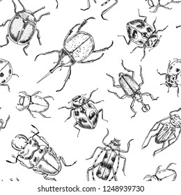 Seamless vector pattern made of various beetles, element for design.