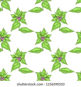 Seamless vector pattern with meadow flowers.