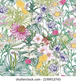 Seamless vector pattern of medical plants and herbs in engraving style. Linear chamomile, chicory, clover, lavender, plantain, valerian, echinacea, rosehip, coltsfoot, ginkgo, nettle