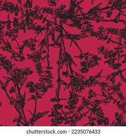 Seamless vector pattern of medical plants and herbs in engraving style. coltsfoot on viva megenta 2023 background