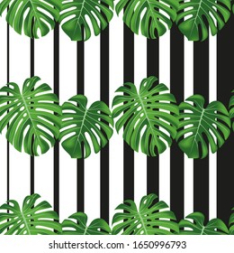 Seamless vector pattern with monstera leaves on black and white geometric background