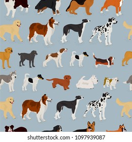 Seamless vector pattern on the basis of different breeds of dog