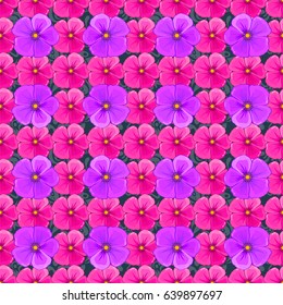 Seamless vector pattern on a blue background with cute cosmos flowers. Floral background.