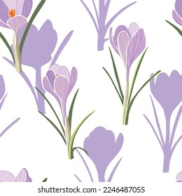 Seamless vector pattern on a transparent background. Vector illustration. Crocus flowers. Saffron field.