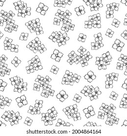 Seamless vector pattern with outlined hydrangea flowers on white background