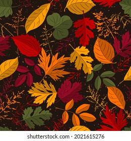 Seamless vector pattern with overlapping colorful autumn leaves, grass on dark background.