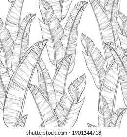 Patrón vectorial sin foco con hojas de plátano de palma y plantas. Selva de fondo floral. Negro y blanco