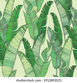 Seamless vector pattern with palm banana leaf and plants. Floral background jungle.