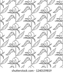 Seamless vector pattern with peony buds. Can be used for graphic design, textile design or web design.