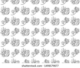 Seamless vector pattern with pine cones, conifer cones  and cedar. Hand drawn vector black and white illustration. Forest vintage style. Christmas gift wrapping.