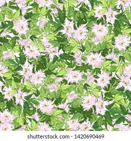 Seamless vector pattern with pink clematis flowers, imitation of watercolor painting.