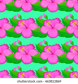 Seamless vector pattern of pink hibiscus and green leaf on green background.