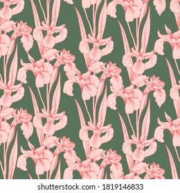 Seamless vector pattern with pink iris floewrs on a deep green background. Stock line vector illustration. T-shirt design, textiles, fabrics, covers, wallpapers, print, wrapping gift