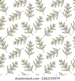 Seamless vector pattern of plants, flowers. On a white background