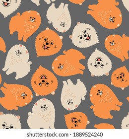 Seamless vector pattern with pomeranian, dog breeds. Funny illustration for background, fabric, textile, wallpaper
