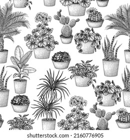 Seamless vector pattern potted flowers engraving style. Graphic linear dracaena, lobivia cactus, sansevieria, ficus, scindapsus, prickly pear cactus, succulents, pilea, potted palm, geranium