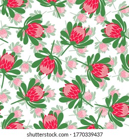 Seamless vector pattern with protea flowers on white background