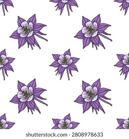 Seamless vector pattern with purple columbine flowers on white background