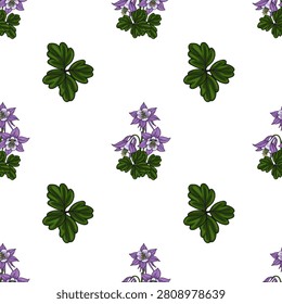 Seamless vector pattern with purple columbine flowers and lush green leaves on white background