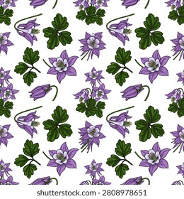 Seamless vector pattern with purple columbine flowers and green leaves on white background