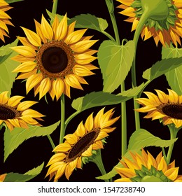 Seamless vector pattern of realistic sunflower flowers on a black background, with stems and leaves.