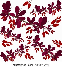 Seamless vector pattern with ripe red barberry branches and leaves on white background