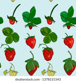 Seamless vector pattern with ripe strawberries, leaves and flowers.realistic hand drawing Kitchen design for paper, textiles, wallpaper, interior design. 